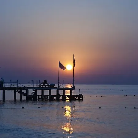 Mg White Lilyum ケメル